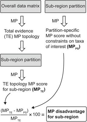 Conflict Resolution for Mesozoic Mammals: Reconciling Phylogenetic Incongruence Among Anatomical Regions